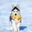 Dog Chew Toy Cotton Rope Teething Set 3