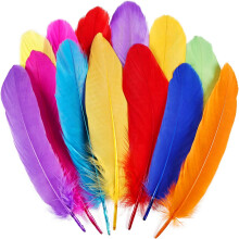 Colorful Feathers for Crafting 150 Pcs 5-7 Inches 14 Colors