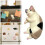 3D Cat Refrigerator Magnets Set of 6 7