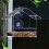 Automatic Hanging Bird Feeder Rainproof Outdoor 5