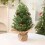 Mini Pre-Lit Artificial Christmas Tree PE Branches Green 1