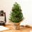 Mini Pre-Lit Artificial Christmas Tree PE Branches Green 6