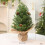 Mini Pre-Lit Artificial Christmas Tree PE Branches Green 3