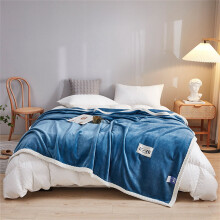Pryess Fleece Knee Blanket Thick Warm Throw 1pc