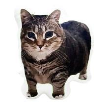 Cat Soft Toy Pillow PP Stuffed Comfortable for All Ages