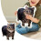 Cat Soft Toy Pillow PP Stuffed Comfortable for All Ages 2