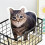 Cat Soft Toy Pillow PP Stuffed Comfortable for All Ages 4
