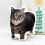 Cat Soft Toy Pillow PP Stuffed Comfortable for All Ages 5