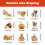 Fall Window Cling Sticker for Glass Decoration 3