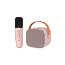Mini Karaoke Machine with 2 Wireless Microphones