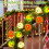 Battery LED Lights Red Green White 10ft 20-LED Waterproof 6