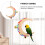 Parakeet Swing Toy for Birds 2 Pieces 5