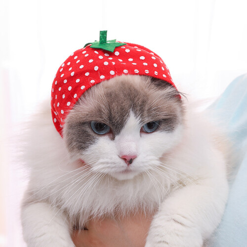 Pet Hat Fruit Themed Breathable Non-woven Sun Protection Cap 2