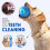 Auto Vibrating Dog Ball Toy for Small Medium Pets 6