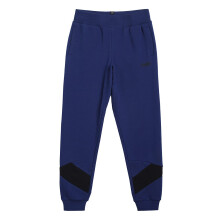 Puma Boy'S' Regular Track Pants (58702312_Elektro Blue_116)