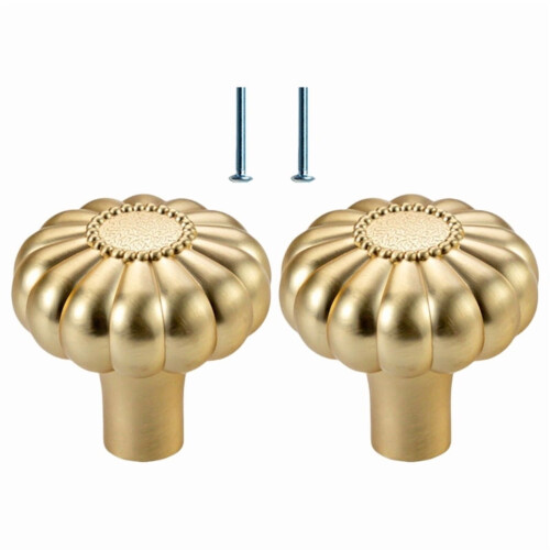 Multipurpose Brushed Gold Cabinet Pull Zinc Alloy 2-Pack