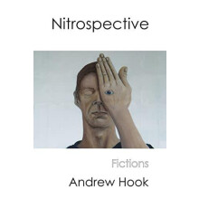 Nitrospective by Andrew Hook Paperback Book