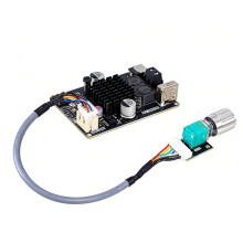 Płytka Wzmacniacza 100 w TPA3116 Mono Audio do Głośników DIY, Samochodowego Systemu Nagłośnienia Domowego