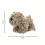 Chenille Towel Soft Absorbent Cartoon Dog Design 1pc 7