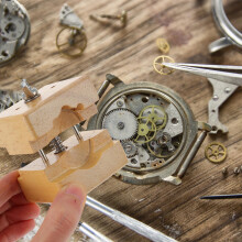 Adjustable Watch Holder Vise with Clamping Case 1 Piece