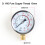 Y60 Pressure Gauge for Pool Filter and Air Compressor 0-1.6 1