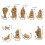 Nativity Scene Figurines Set Resin 9-Piece 3