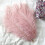 Multicolor Plumage for Wedding Centerpieces 10pcs 3