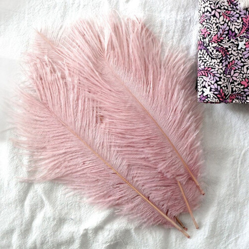 Multicolor Plumage for Wedding Centerpieces 10pcs 2