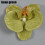 Orchid Hair Clip Brown Artificial Flower Wedding Accessory 3