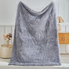 AuroraX Soft Fuzzy Throw Blanket Light Gray 60x40 Inch