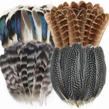 Natural Feathers Bulk Pack - 4 Styles, 40 Pieces