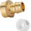 EFIELD PEX-A Brass Fitting 3/4" Female NPT Adapter with 10 1