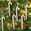 Red Shatterproof Christmas Ball Ornaments 6 pcs 5