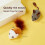 Cat Teaser Toy Plush Mouse for Kittens and Pets 5