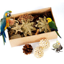 Parrot Foraging Toy Box for Small Birds