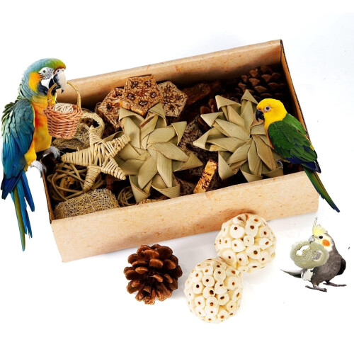 Parrot Foraging Toy Box for Small Birds