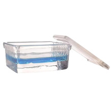 Staining Cells Glass Dyeing Tank Rectangle Staining Tank for to 10 Microscope Slides Thick Walls with Cover