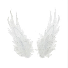 Hair Pins Handcrafted Wings Design 1 Pair