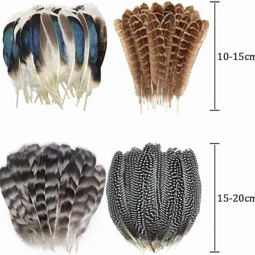 Natural Feathers Bulk Pack - 4 Styles, 40 Pieces 1