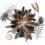 Natural Feathers Bulk Pack 40 pcs 4 styles 3