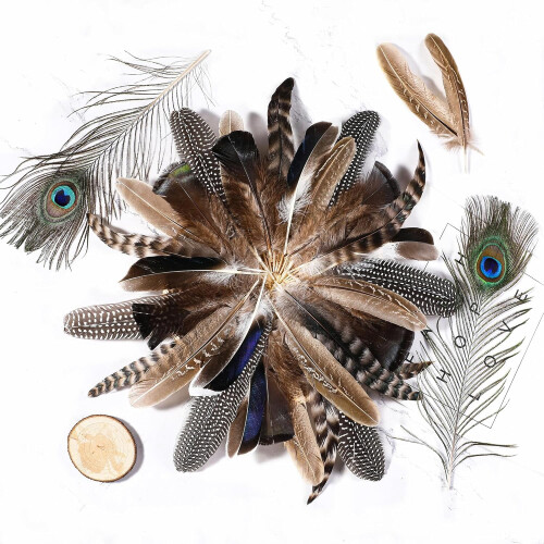 Natural Feathers Bulk Pack 40 pcs 4 styles 2