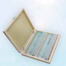 Caja de Madera para Guardar Portaobjetos de Microscopio con 100 Compartimentos