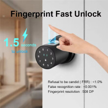 Tuya Lock Fingerprint Lock, Password Lock, Suitable for Bedroom, Homestay, Apartment