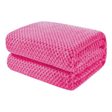 Extra Large Soft Warm Textured Plush Throw Blanket