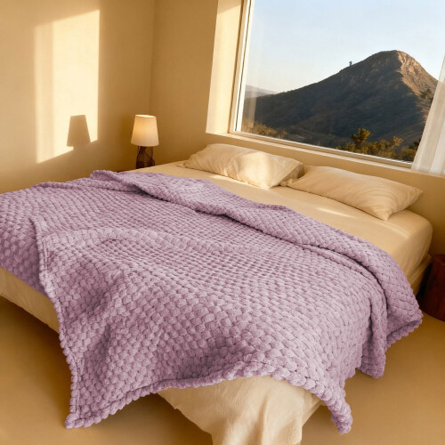 Fleece Blanket Microfiber Plush Soft Thickened Solid Color