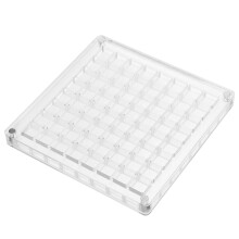 Shell Storage Box Clear Display Case Small