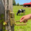 Heavy Duty Instant Locking Gate for Farm Ranch Backyard 1pc 4