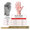 Cowhide Leather Work Gloves Heavy Duty 12 Pairs 7