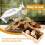 Parrot Foraging Toy Box for Small Birds 7