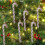 Red Shatterproof Plastic Christmas Ball Ornaments 6 Pcs 4
